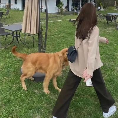 兔仙王妃